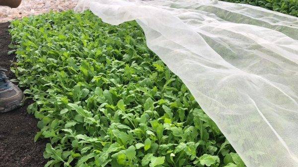 mallas para la agricultura